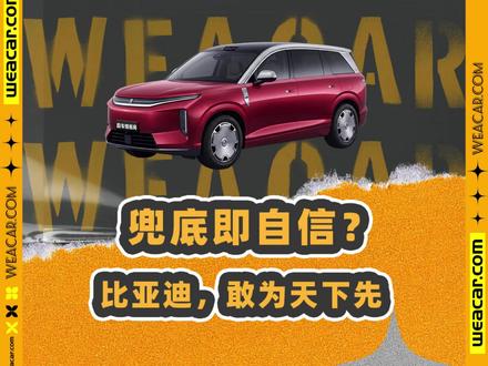 兜底之后可能背刺?浅挖比亚迪智能化发布会 #比亚迪 #智驾芯片 #智能驾驶 #智驾兜底