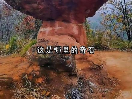 这些各种各样的奇石,你都知道在哪里能看到吗?#科普 #奇石 #地理科普 #涨知识