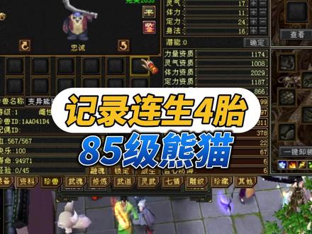 记录连生4胎85级熊猫。 #天龙八部 #游戏日常
