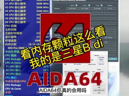内存颗粒用啥看,dida64这些功能告诉你#创作灵感 #内存颗粒 #aida64 #电脑超频