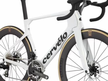 坎普和大鹅不得不说。#公路车 #公路自行车 #公路车选购技巧 #公路车品牌 #vlog十亿流量扶持计划