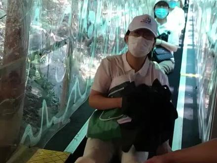 建德灵栖洞飞天魔毯🤗🤗#爱的原乡爱在17