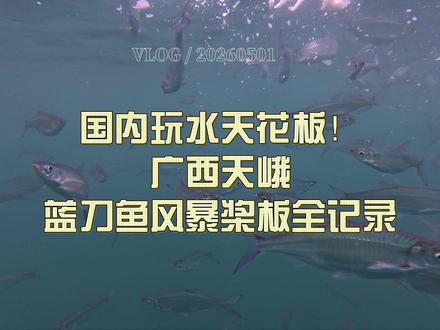 国内玩水天花板!广西天峨蓝刀鱼风暴桨板全记录 自驾穿越山野,抵达天峨红水河。一桨一板,漂行在青山碧水间,忽然遇见万尾蓝刀鱼聚成的 “水下风暴”。阳光洒在水面,银鳞翻涌成流动的星河,风在耳边,水在脚下,鱼在身旁。原来最治愈的旅行,就是把自己交给自然,与一场不期而遇的生命奇观温柔相逢。#蓝刀鱼风暴 #广西河池 #玩水天花板