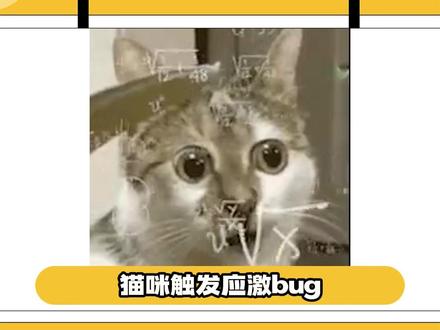 本来自毁程序都启动了,没想到舔毛代码优先级更高