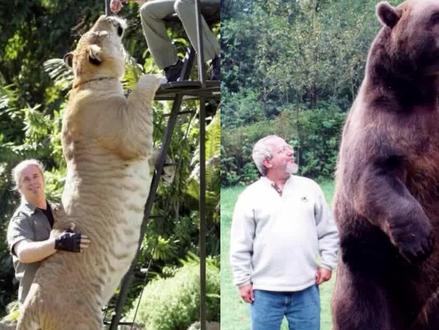 盘点那些比你想象中还大的动物 #知识领航者 #内容搜索启发 #动物世界