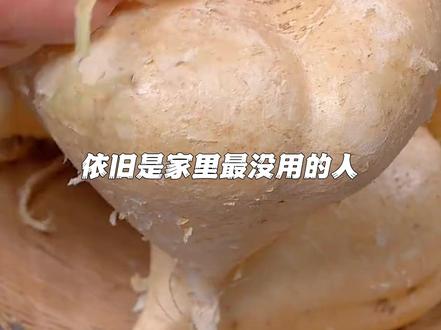 第一次知道凉薯种子是不能吃的 #凉薯 #安全 #豆角 #广西 #食物