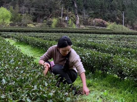 那一点点不完美,就是我们努力的方向。 #春分 #清明粿 #抖音美食创作人