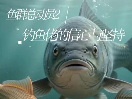 鱼群总动员2·钓鱼佬的信心与坚持#钓鱼人的快乐 #钓鱼那些事 #户外钓鱼 #钓鱼人就是这么疯狂