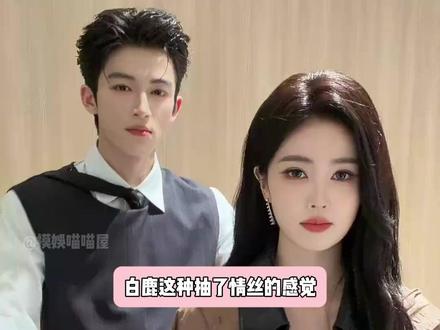 全靠王星越又争又抢#白鹿 #王星越 #唐宫奇案 #向全世界安利 #明星