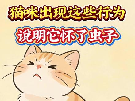 猫咪出现这些行为,说明它怀了虫子!#猫咪 #猫咪的迷惑行为 #萌宠 #萌宠出道计划 #萌宠日常记录
