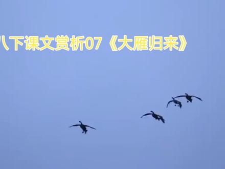 八下课文赏析07《大雁归来》