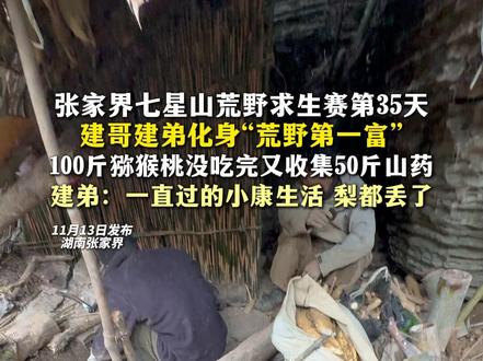 张家界七星山荒野求生赛第35天,建哥建弟化身“荒野第一富”,100斤猕猴桃没吃完又收集50斤山药,建弟:一直过的小康生活 梨都丢了 #张家界七星山 #荒野求生 #社会新闻 #小康生活