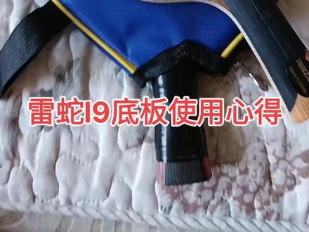 #雷蛇l9 #雷蛇底板 #乒乓球底板 乒乓球新手入门底板雷蛇l9使用感受,偏向快攻底劲可以不震手。