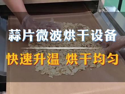 蒜片微波烘干设备,快速升温,烘干均匀#微波烘干机 #蒜片烘干机 #葱花烘干机 #隧道式烘干机 #食品烘干设备