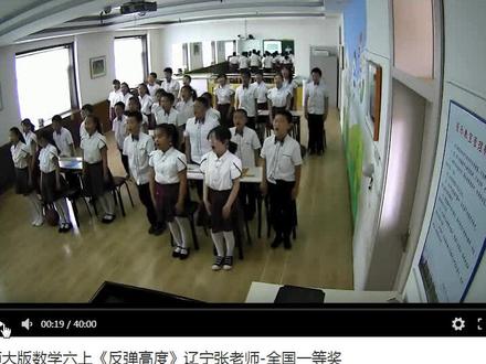 +Q北师大版数学六上《反弹高度》辽宁张老师-全国一等奖