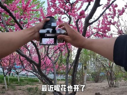 长焦真爽!用不到三千的索尼a6000相机搭配腾龙28200出门扫街!艾特你最最喜欢摄影的小伙伴来看!#索尼a6000 #腾龙28200 #第一视角拍摄 #扫街#摄影在抖音