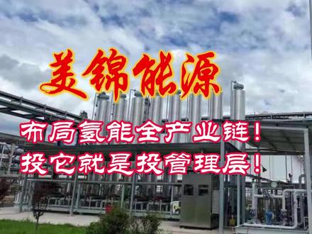 美锦能源:布局氢能全产业链,投它就是投管理层!