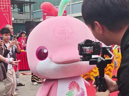 被黄金比例奖励了,喜欢这种熟悉的感觉,舞台剧之后又连续两天梦到了黄金比例(真的有点频繁了我说,不能太恋鸡脑了🧠)#大湾鸡 #宝宝鸡 #全运会吉祥物 #新春花市 #太可爱了吧