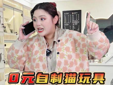 0元自制猫玩具!手把手教你变废为宝! #新手养猫 #养猫经验分享 #猫玩具 #铲屎官