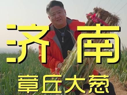 我这 1 米 98 的身高,在章丘还没根葱高!#泉天下最济南