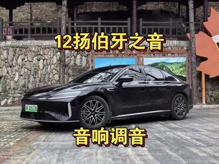 风云A9L音响12扬声器体验:音响均衡器调节 #2026懂车帝抖音汽车种草内容创作大赛
#潜力新星奖
#宝华人生
#汽车音响
#风云A9L