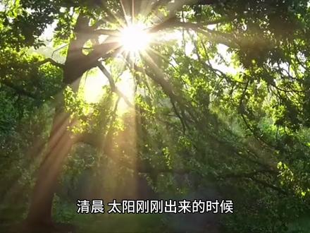 #每天学习一点点 火烧云是如何形成的#每天涨知识