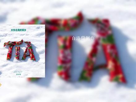 【袁娅维】《大东北是我的家乡》全曲音高记录 #袁娅维 #袁娅维大东北 #大东北我的家乡 #高音 #TIA袁娅维