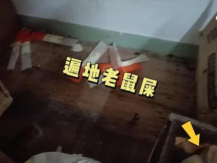 暗访杨国福,竟然和老鼠同吃一碗麻辣烫!
