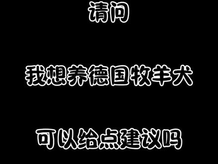 养狗劝退之德国牧羊犬#德牧