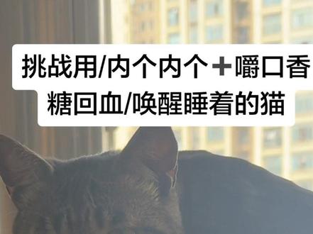 用哪个音道出声的呢?怎么有人学的这么像
