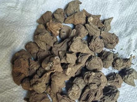 川乌:中医药里的祛寒止痛瑰宝