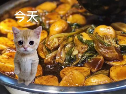 我爱烤菜年糕#可颂猫#meme#猫猫教