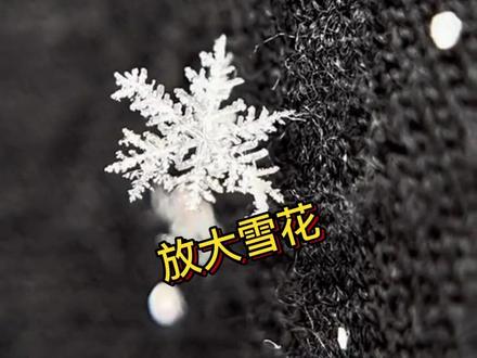 用放大镜看到的雪花真的好精致漂亮 #下雪 #雪花 #有趣冷知识 #冬季