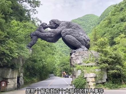 来一趟神农架吧,赴一场与野人的约会!这里有神奇的北纬30度,这里有神秘的野人出没,这里能偶遇会鞠躬的小鹿,可以观赏珍稀的金丝猴和古老的金丝燕,可以攀登海拔3105米的华中屋脊神农顶,从山脚到山顶,就像度过了四季,云海、日出、高峰、草原、你想要的自然风光这里都有!#神农架 #湖北 #原始森林 #旅行推荐官 #旅行