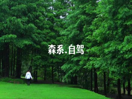 这才是江浙沪的自驾宝藏线路!!