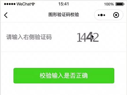 图形验证码Demo#小程序 #api工厂