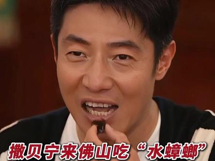 撒贝宁来佛山吃“水蟑螂”,全程飙粤语:有点像“曱甴”,我是广东人,我什么没见过。(编辑:林晓华;责编:梁莹;素材来源:佛山市新闻传媒中心)#请到佛山飙龙船 #有功夫来佛山 #海天请您叹佛山 #又到了佛山扒龙船激情季 #撒贝宁