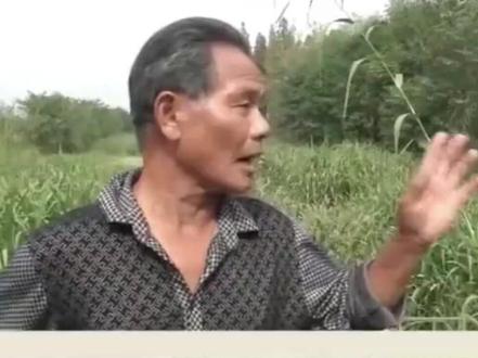 #社会百态#农村#修路