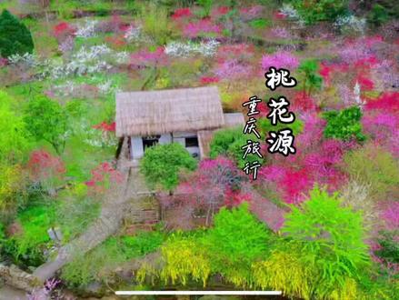 去陶渊明笔下的世外桃源,原来这世上真有书中的模样 #酉阳桃花源 #重庆周边游 #世外桃源 #重庆酉阳 #春天就要出去野