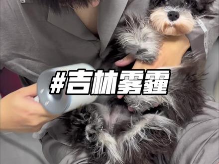 吉林这天气这是咋的了#vlog日常