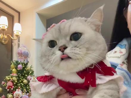 给粉丝的一封信~~ #张嘟嘟 #万物可爱计划 #鸡公煲之歌 鸡公煲之歌原唱。