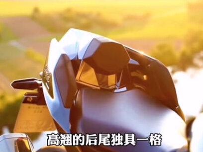 川崎H2R为什么号称陆地终结者#川崎h2 #机车 #摩托车