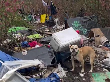 美国斩杀线 不信,为啥不信?因为不愿意信……#美国 #斩杀线