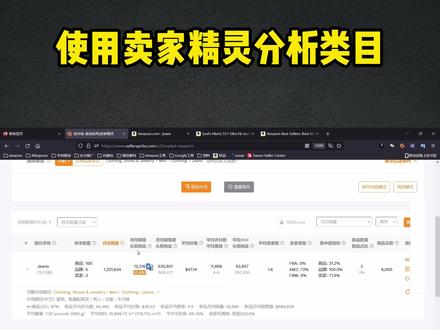 第十八节:亚马逊使用卖家精灵分析类目(三)
#卖家精灵 #亚马逊类目 #亚马逊选品