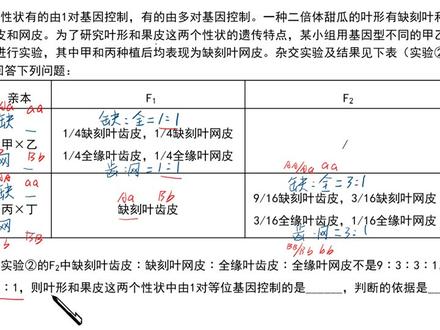 2021年高考全国甲卷理综生物第32题讲解,遗传分析,高中生物课程#高考 #学习 #高中生物
