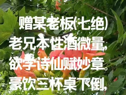偶与某老板相聚,胡吹乱侃一通。吾无语。赠诗一首,以资笑谈。