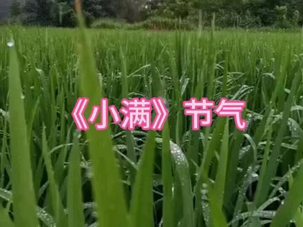今年夏季雨水多不多?会有大旱吗?《小满》这一天就是覌察天时的窗口。