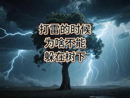 打雷的时候为啥不能躲在树下
#儿童知识科普 #知识分享 #科普一下 #科普 #儿童益智