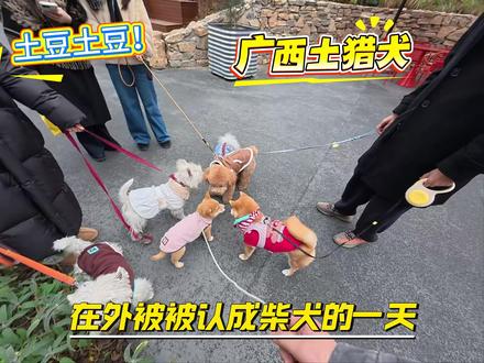老登,我不土! #真实生活分享计划 #抖音玩法合伙人计划 #万物可爱计划 #vlog萌宠日常 #volg日常