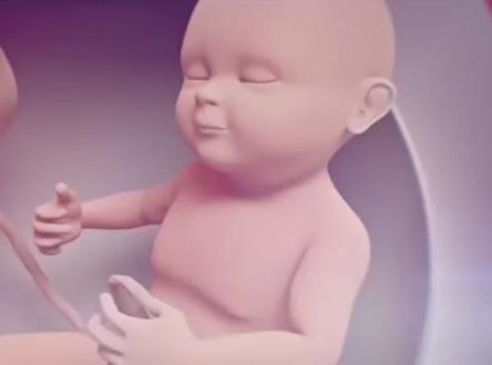 #育儿经验分享 准生征办理流程 生育險报消#母婴育儿 #新手妈妈 #新生儿护理 #育婴知识 #准妈妈